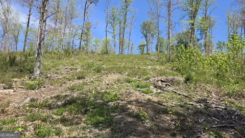 0 Sand Hill Rd, Bowman, GA 30624 photo 44