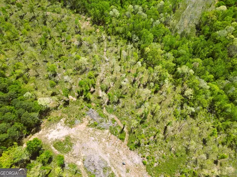 0 Sand Hill Rd, Bowman, GA 30624 photo 63