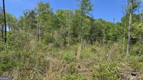 0 Sand Hill Rd, Bowman, GA 30624 photo 38