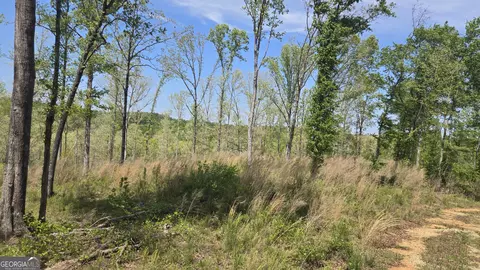 0 Sand Hill Rd, Bowman, GA 30624 photo 42