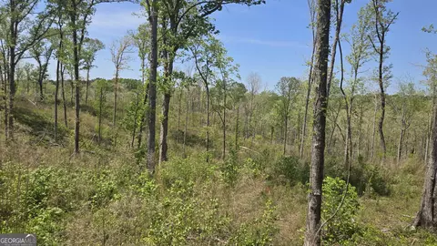 0 Sand Hill Rd, Bowman, GA 30624 photo 27