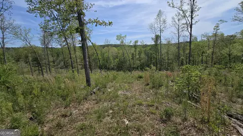 0 Sand Hill Rd, Bowman, GA 30624 photo 16
