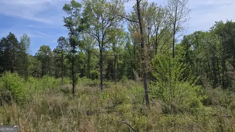 0 Sand Hill Rd, Bowman, GA 30624 photo 39