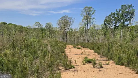 0 Sand Hill Rd, Bowman, GA 30624 photo 33