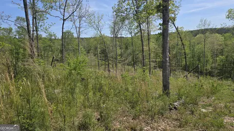 0 Sand Hill Rd, Bowman, GA 30624 photo 17
