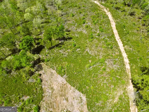 0 Sand Hill Rd, Bowman, GA 30624 photo 62
