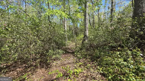 0 Sand Hill Rd, Bowman, GA 30624 photo 31
