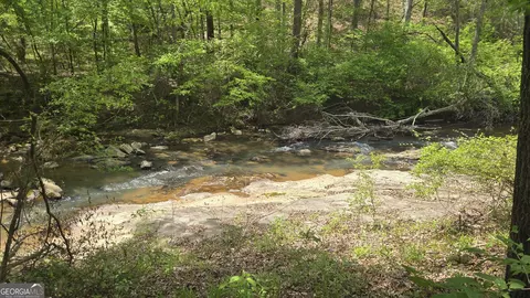 0 Sand Hill Rd, Bowman, GA 30624 photo 9