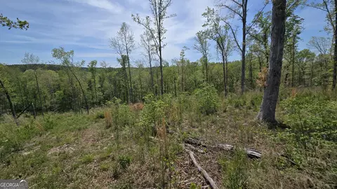 0 Sand Hill Rd, Bowman, GA 30624 photo 19