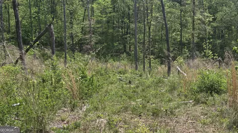 0 Sand Hill Rd, Bowman, GA 30624 photo 18