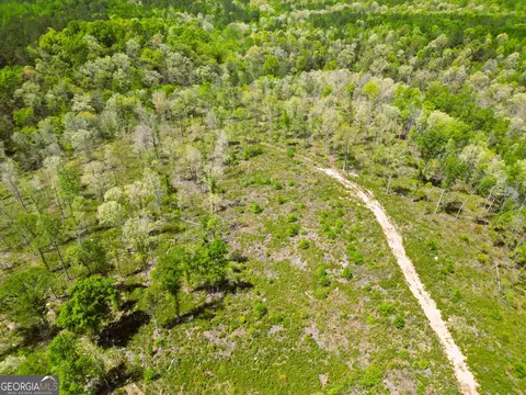 0 Sand Hill Rd, Bowman, GA 30624 photo 61