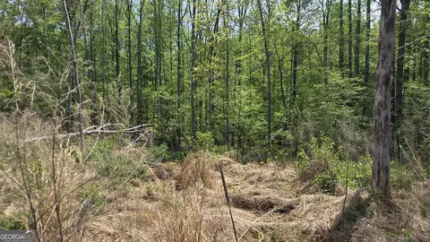 0 Sand Hill Rd, Bowman, GA 30624 photo 15