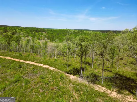 0 Sand Hill Rd, Bowman, GA 30624 photo 58