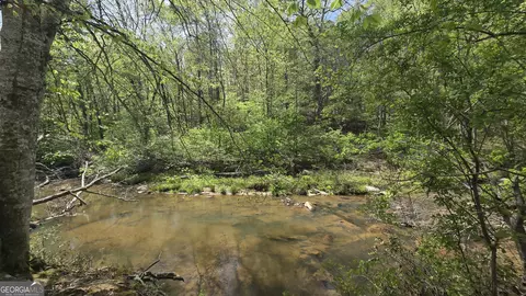 0 Sand Hill Rd, Bowman, GA 30624 photo 20