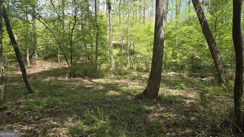 0 Sand Hill Rd, Bowman, GA 30624 photo 40