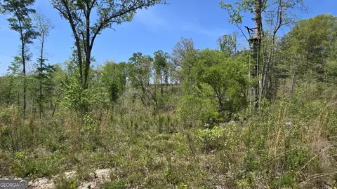 0 Sand Hill Rd, Bowman, GA 30624 photo 36
