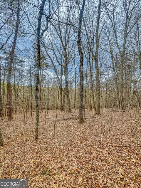 0 Green Mdws, Dahlonega, GA 30533