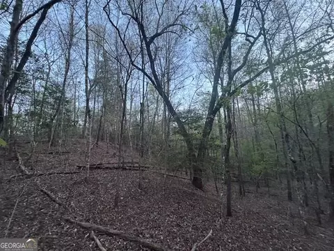lot5 Riverbend Mnr, Blue Ridge, GA 30513