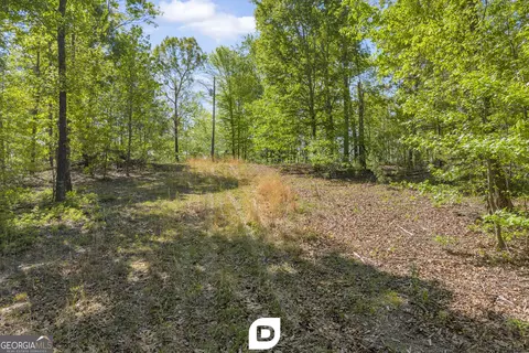 0 Anderson Rd, Toccoa, GA 30577 photo 4