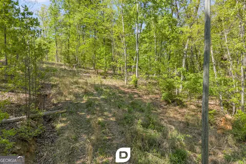 0 Anderson Rd, Toccoa, GA 30577 photo 9