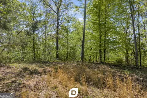 0 Anderson Rd, Toccoa, GA 30577 photo 11