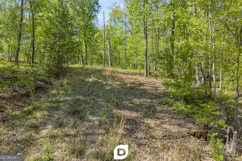 0 Anderson Rd, Toccoa, GA 30577 photo 10