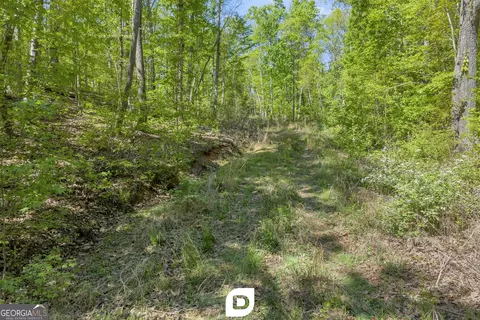0 Anderson Rd, Toccoa, GA 30577 photo 6