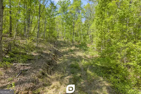 0 Anderson Rd, Toccoa, GA 30577 photo 8