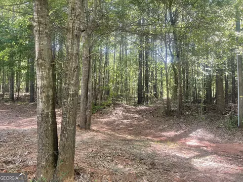 0 Fincher Rd, Covington, GA 30016 photo 2