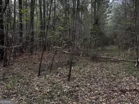 0 Bethany Rd, Buckhead, GA 30625 photo 5