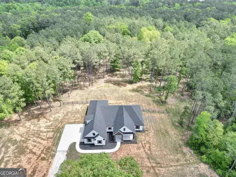 Other - 787 Silver Dollar Rd, Milner, GA 30257 photo 4 of 14