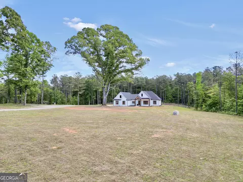 Exterior - 787 Silver Dollar Rd, Milner, GA 30257 photo 4 of 5