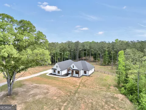 Other - 787 Silver Dollar Rd, Milner, GA 30257 photo 3 of 14