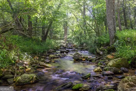 Undisclosed, Morganton, GA 30560 photo 51