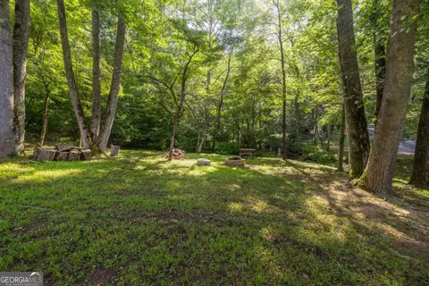 Undisclosed, Morganton, GA 30560 photo 53