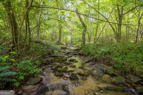 Undisclosed, Morganton, GA 30560 photo 3