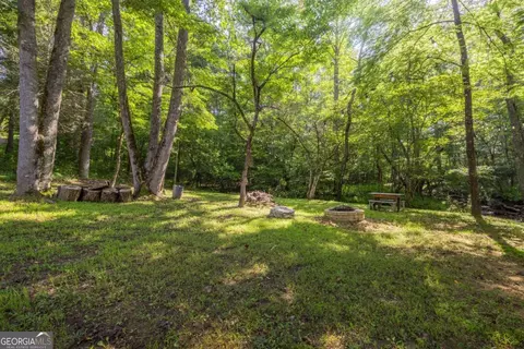Undisclosed, Morganton, GA 30560 photo 12