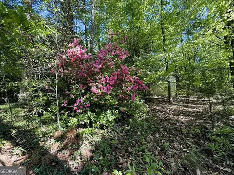 4655 Hwy 29, Royston, GA 30662