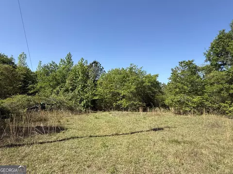 8087 Sandhill Rd, Mitchell, GA 30820