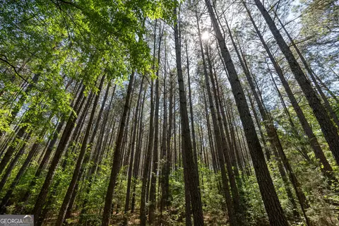 2486 Hulmes Chapel Rd, Elberton, GA 30635