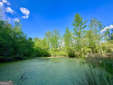 1300 Robinson St, Roopville, GA 30170