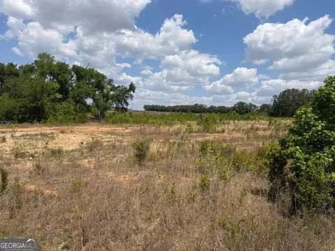 402 Grays Landing Rd, Uvalda, GA 30473