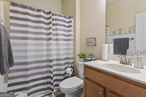 Bath - 12246 Shelby Ct, Hampton, GA 30228 photo 1 of 2