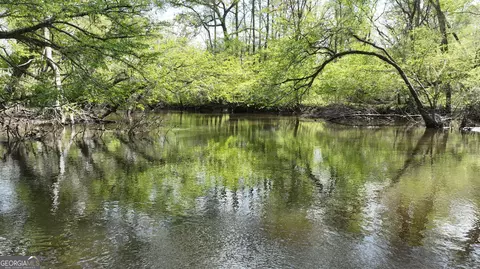 View/Area - 1082 River St, Bartow, GA 30413 photo 2 of 2