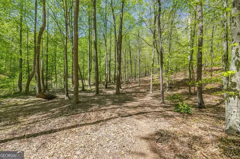 Exterior - 3617 Pea Ridge Rd, Cornelia, GA 30531 photo 20 of 23