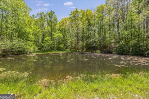 Other - 3617 Pea Ridge Rd, Cornelia, GA 30531 photo 18 of 36