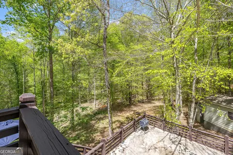 Other - 3617 Pea Ridge Rd, Cornelia, GA 30531 photo 9 of 36