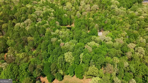 View/Area - 3617 Pea Ridge Rd, Cornelia, GA 30531 photo 12 of 13