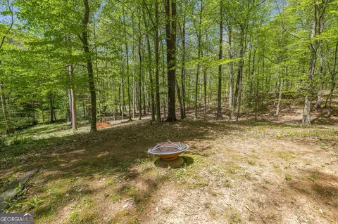 Exterior - 3617 Pea Ridge Rd, Cornelia, GA 30531 photo 19 of 23