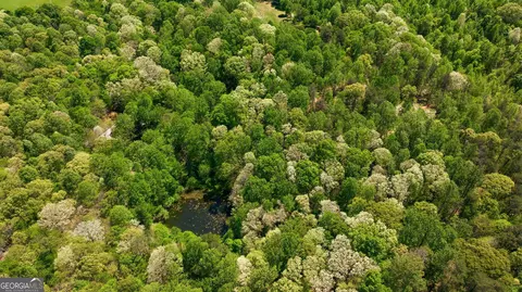 Other - 3617 Pea Ridge Rd, Cornelia, GA 30531 photo 36 of 36